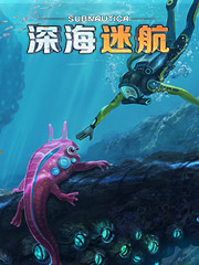 义乌的商品便宜吗